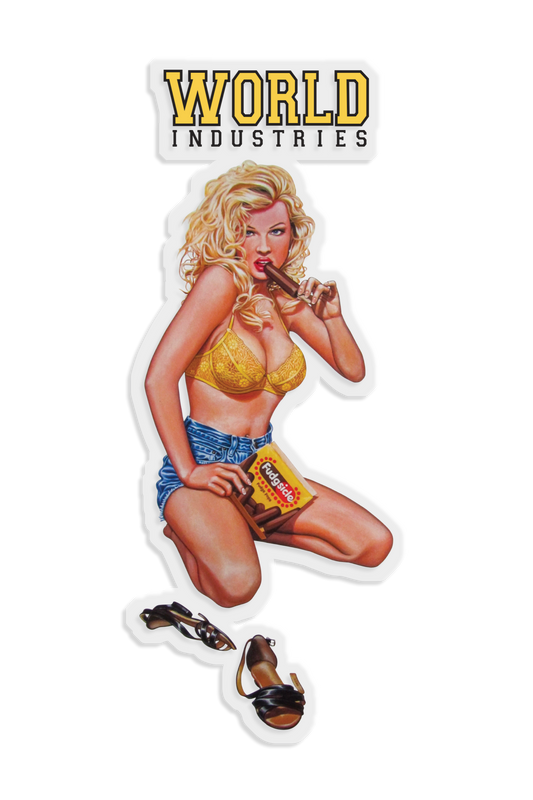 World Industries - Fudgesicle Sticker 5 Pack